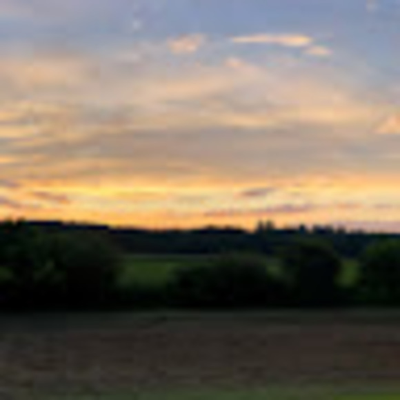 Meet your Posher, Erica - Picture 1 of 1